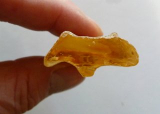 7cm-copal-end-view